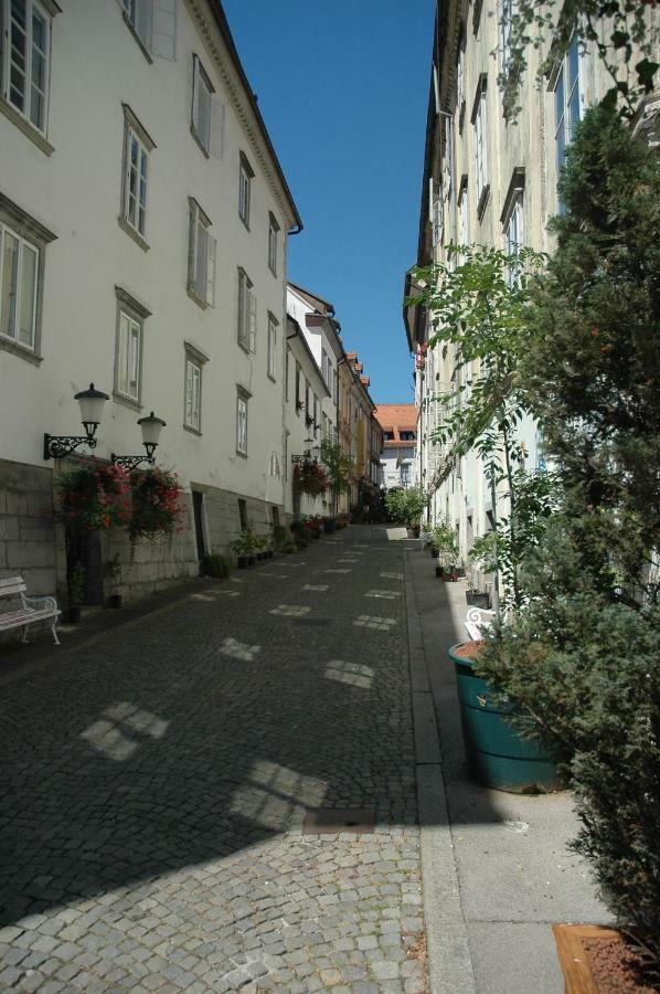 Vitez Apartment II Ljubljana Dış mekan fotoğraf