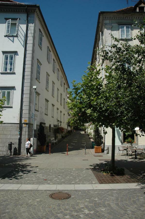 Vitez Apartment II Ljubljana Dış mekan fotoğraf