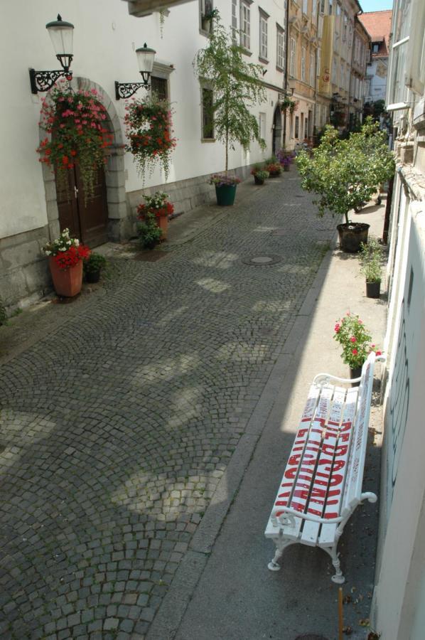 Vitez Apartment II Ljubljana Dış mekan fotoğraf